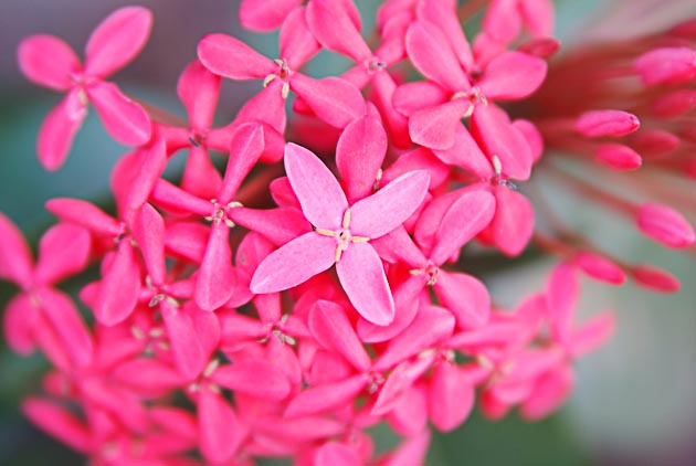 ชื่อ:  2011_0501ZooKorat0260.jpg
ครั้ง: 371
ขนาด:  82.2 กิโลไบต์