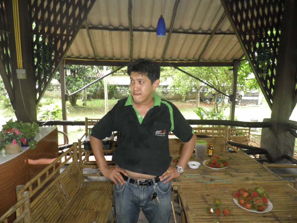 ชื่อ:  P5141849.jpg
ครั้ง: 1029
ขนาด:  270.4 กิโลไบต์