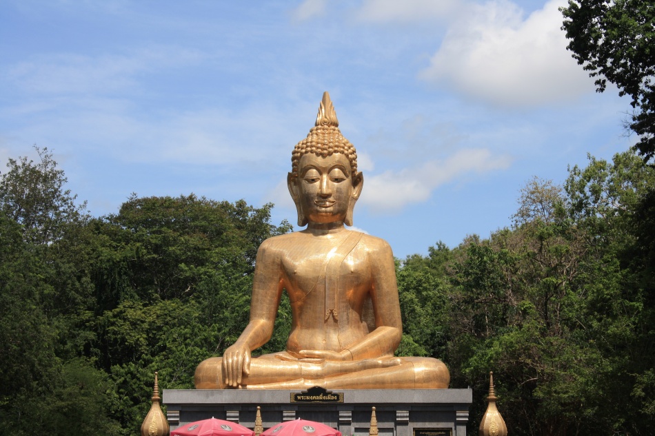 ชื่อ:  IMG_4366.jpg
ครั้ง: 966
ขนาด:  237.8 กิโลไบต์