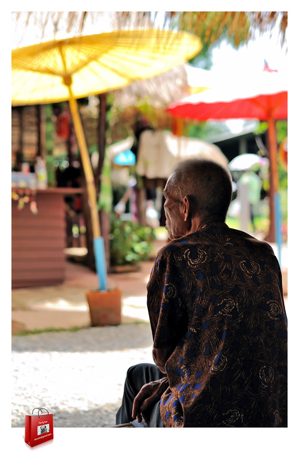 ชื่อ:  DSC_9781.jpg
ครั้ง: 252
ขนาด:  186.3 กิโลไบต์