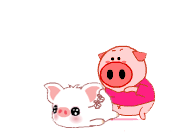 ชื่อ:  pig.gif
ครั้ง: 348
ขนาด:  7.8 กิโลไบต์
