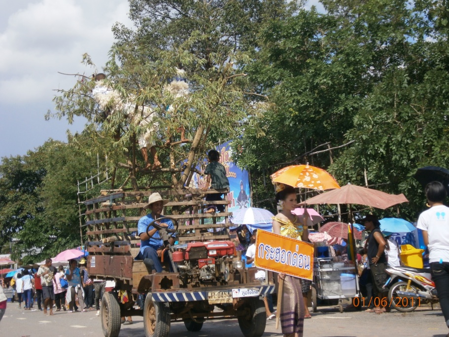 ชื่อ:  P6010177.jpg
ครั้ง: 288
ขนาด:  345.7 กิโลไบต์