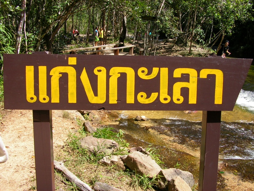 ชื่อ:  ภูจองนายอย (141).jpg
ครั้ง: 209
ขนาด:  349.1 กิโลไบต์