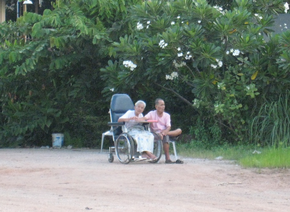 ชื่อ:  IMG_2678-1.jpg
ครั้ง: 939
ขนาด:  292.4 กิโลไบต์