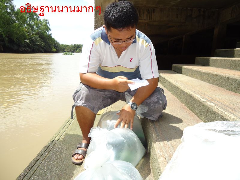 ชื่อ:  BMT3.jpg
ครั้ง: 222
ขนาด:  94.4 กิโลไบต์