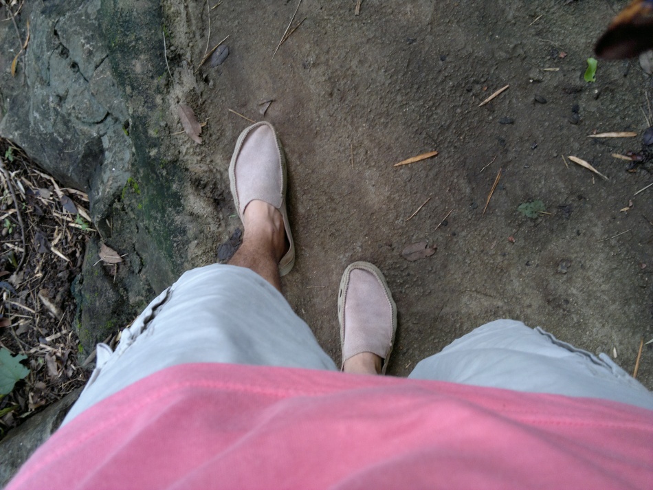 ชื่อ:  15072011166.jpg
ครั้ง: 296
ขนาด:  264.1 กิโลไบต์
