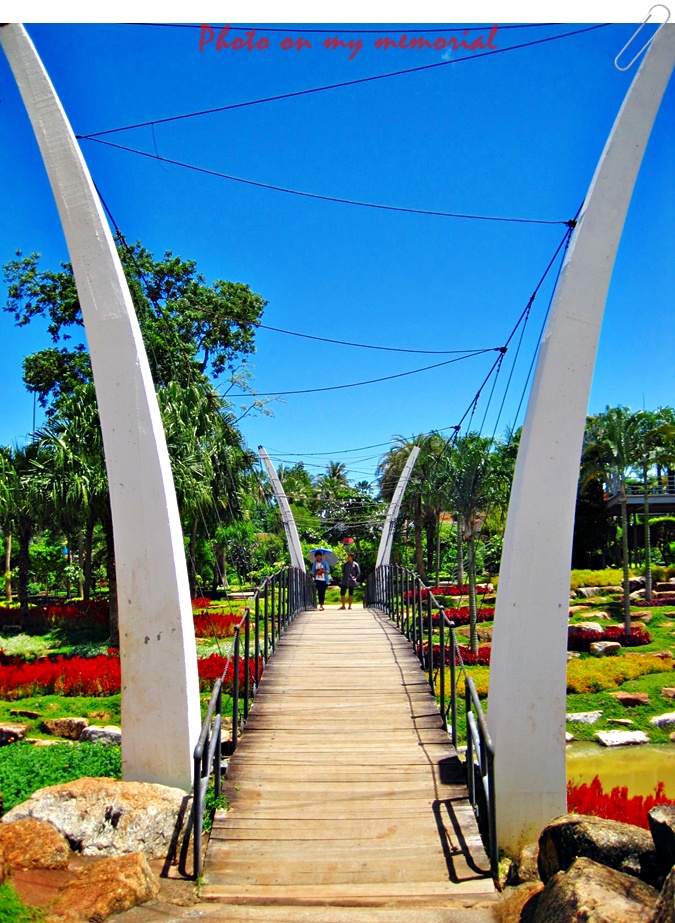 ชื่อ:  สวนนงนุช1.JPG
ครั้ง: 832
ขนาด:  311.9 กิโลไบต์