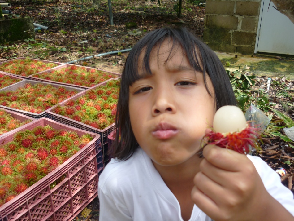 ชื่อ:  P1040161.jpg
ครั้ง: 382
ขนาด:  305.5 กิโลไบต์