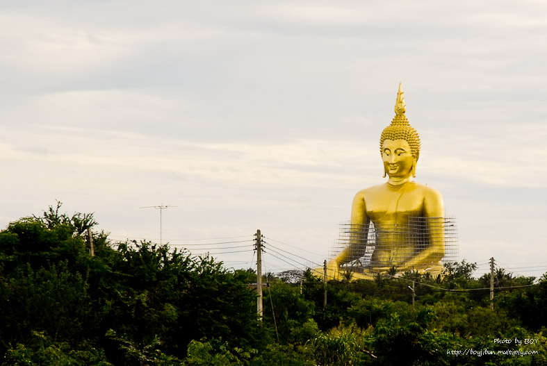 ชื่อ:  2011_0818Oangtong0003.jpg
ครั้ง: 297
ขนาด:  108.2 กิโลไบต์