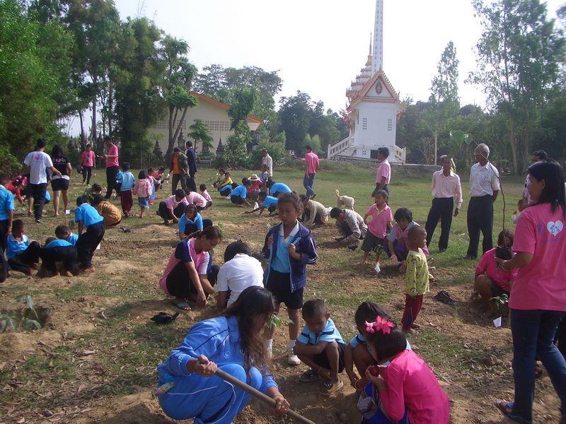ชื่อ:  CIMG0491-1.jpg
ครั้ง: 212
ขนาด:  289.5 กิโลไบต์