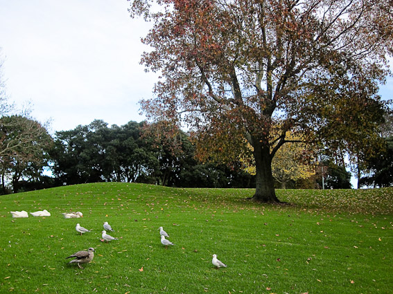 ชื่อ:  2011_0606Auckland-78.jpg
ครั้ง: 353
ขนาด:  191.4 กิโลไบต์