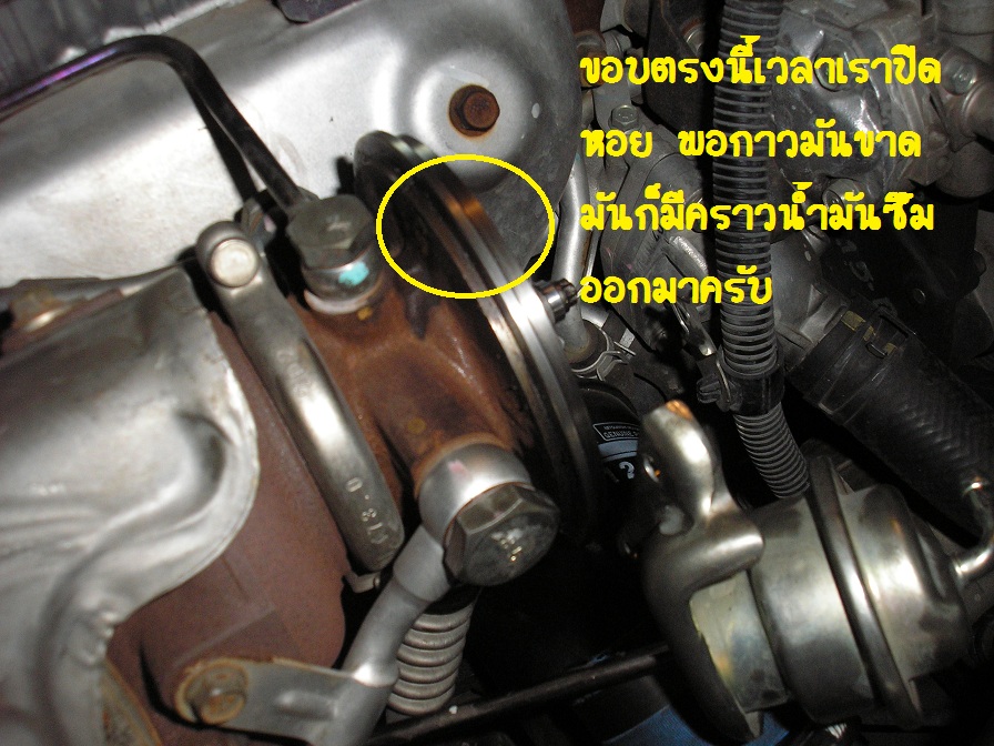 ชื่อ:  P1010111.JPG
ครั้ง: 7125
ขนาด:  231.1 กิโลไบต์