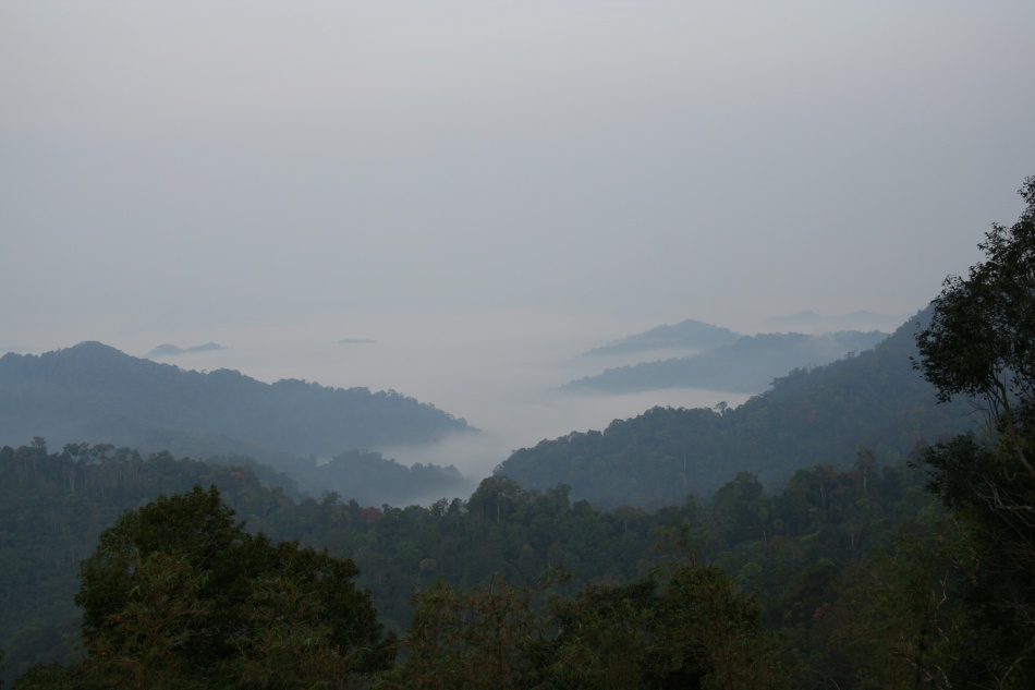 ชื่อ:  Kaeng Krachan (154).jpg
ครั้ง: 2704
ขนาด:  108.0 กิโลไบต์