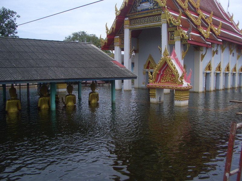 ชื่อ:  CIMG0076-1.jpg
ครั้ง: 149
ขนาด:  189.3 กิโลไบต์