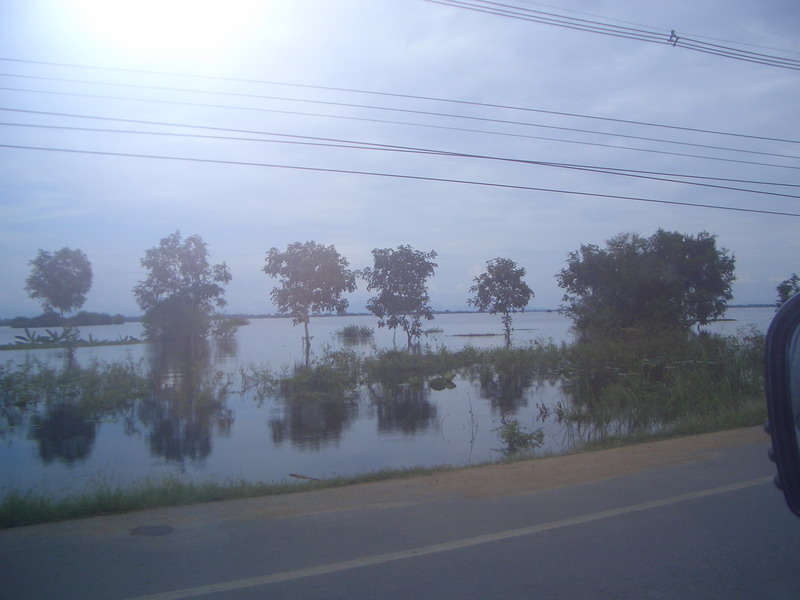 ชื่อ:  CIMG0100-1.jpg
ครั้ง: 156
ขนาด:  90.1 กิโลไบต์