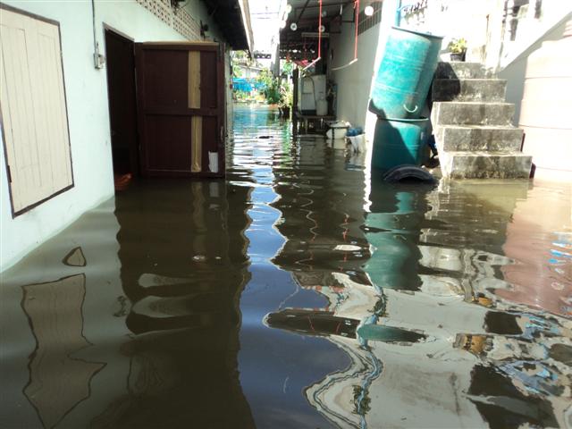 ชื่อ:  DSC01838 (Small).JPG
ครั้ง: 248
ขนาด:  54.1 กิโลไบต์
