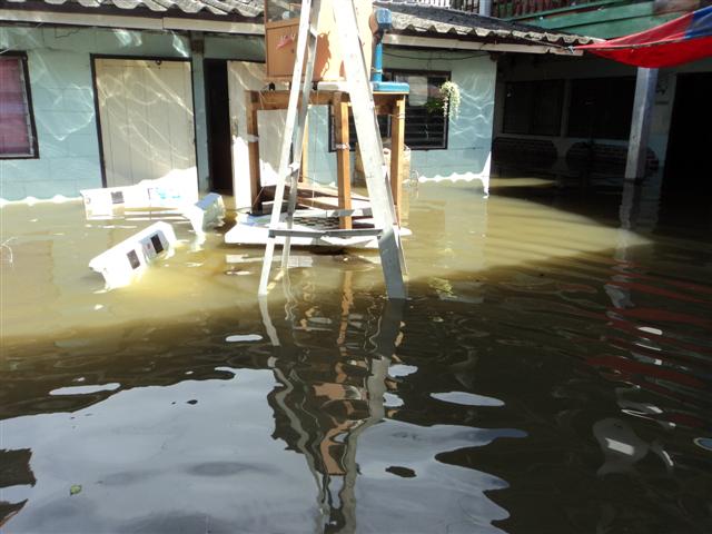 ชื่อ:  DSC01834 (Small).JPG
ครั้ง: 259
ขนาด:  53.3 กิโลไบต์