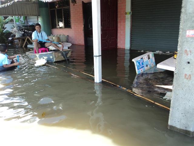 ชื่อ:  DSC01829 (Small).JPG
ครั้ง: 263
ขนาด:  51.2 กิโลไบต์