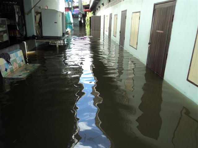 ชื่อ:  DSC01832 (Small).JPG
ครั้ง: 264
ขนาด:  45.7 กิโลไบต์
