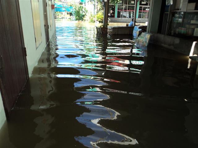 ชื่อ:  DSC01839 (Small).JPG
ครั้ง: 268
ขนาด:  51.3 กิโลไบต์