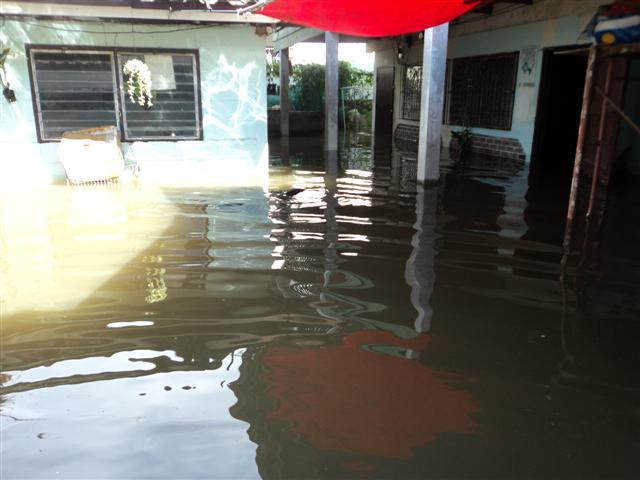 ชื่อ:  DSC01835 (Small).JPG
ครั้ง: 253
ขนาด:  45.3 กิโลไบต์