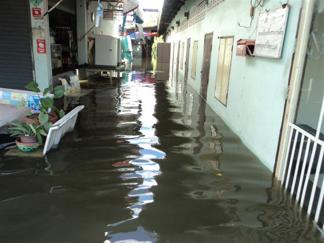 ชื่อ:  DSC01828 (Small).JPG
ครั้ง: 259
ขนาด:  55.7 กิโลไบต์