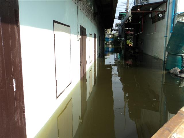 ชื่อ:  DSC01843 (Small).JPG
ครั้ง: 215
ขนาด:  40.7 กิโลไบต์