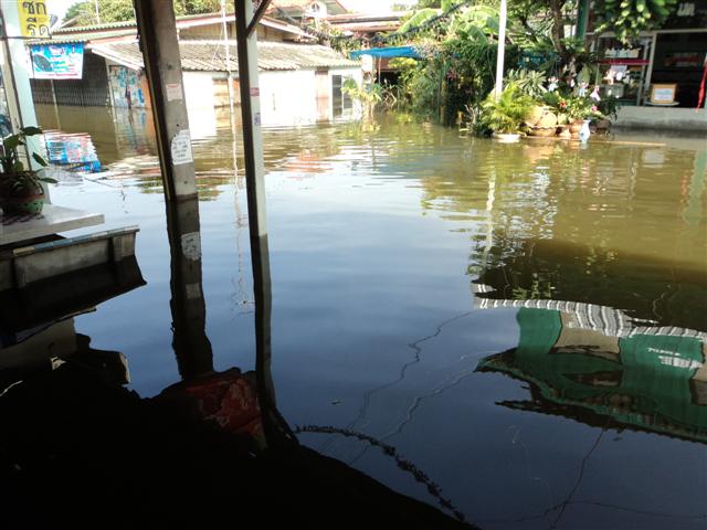 ชื่อ:  DSC01844 (Small).JPG
ครั้ง: 203
ขนาด:  57.3 กิโลไบต์