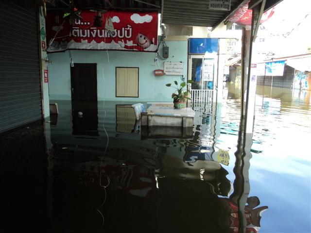 ชื่อ:  DSC01845 (Small).JPG
ครั้ง: 191
ขนาด:  49.1 กิโลไบต์