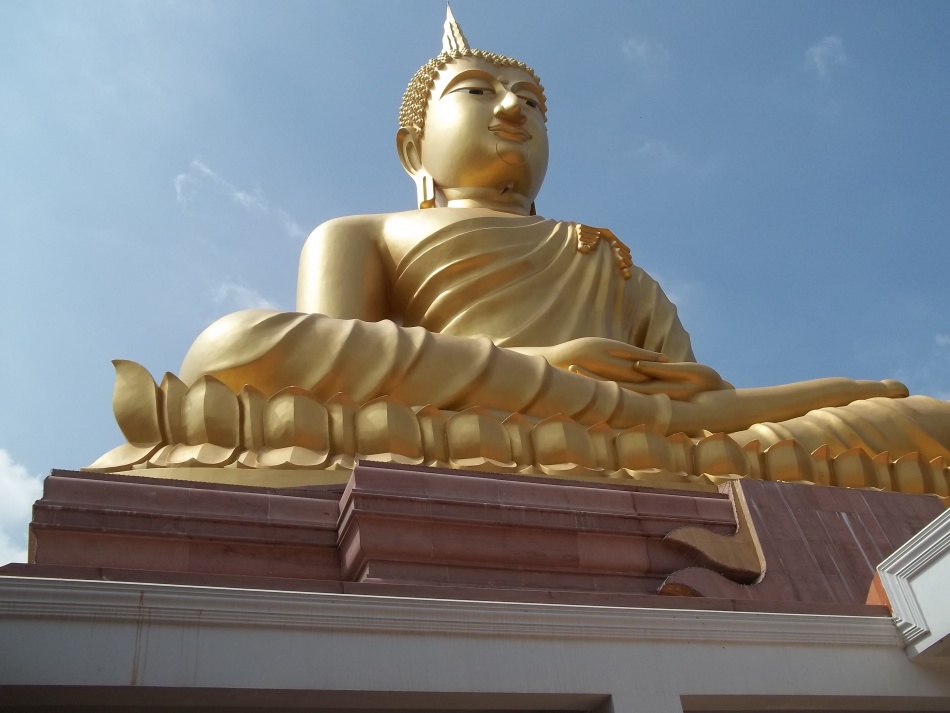 ชื่อ:  100_0622.jpg
ครั้ง: 208
ขนาด:  148.4 กิโลไบต์