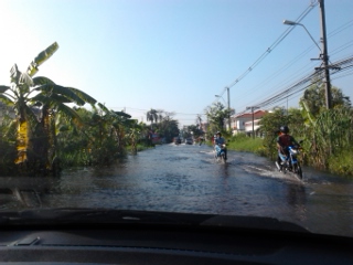 ชื่อ:  2011-11-02 07.51.35.jpg
ครั้ง: 268
ขนาด:  48.0 กิโลไบต์