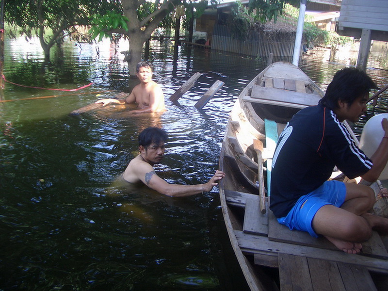 ชื่อ:  CIMG0081-1.jpg
ครั้ง: 228
ขนาด:  252.5 กิโลไบต์