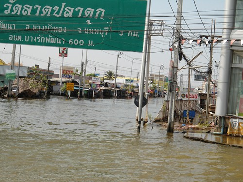ชื่อ:  DSC00135.JPG
ครั้ง: 354
ขนาด:  80.4 กิโลไบต์
