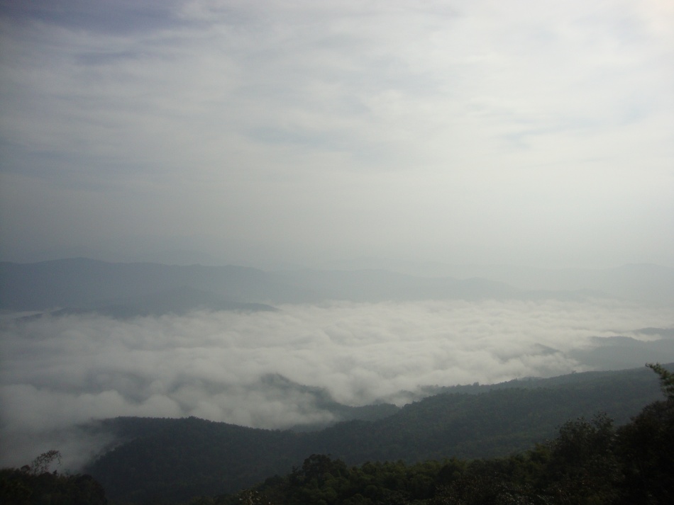 ชื่อ:  DSC01774.jpg
ครั้ง: 701
ขนาด:  102.3 กิโลไบต์