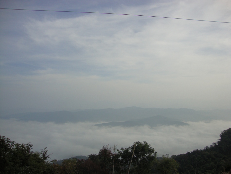 ชื่อ:  DSC01749.jpg
ครั้ง: 693
ขนาด:  118.8 กิโลไบต์