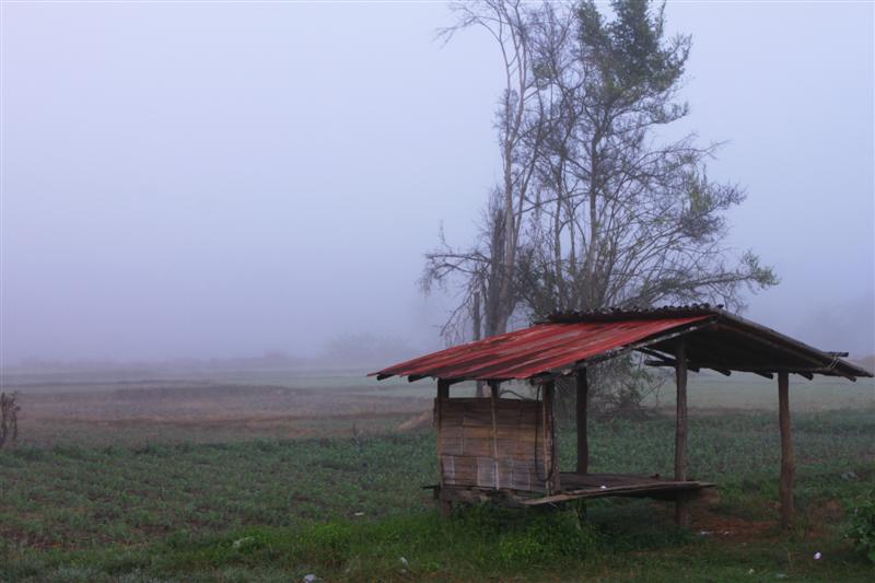 ชื่อ:  IMG_0465 (Medium).jpg
ครั้ง: 339
ขนาด:  56.9 กิโลไบต์