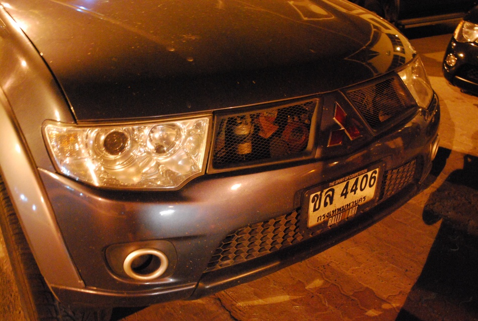 ชื่อ:  DSC_0681.jpg
ครั้ง: 1304
ขนาด:  253.7 กิโลไบต์