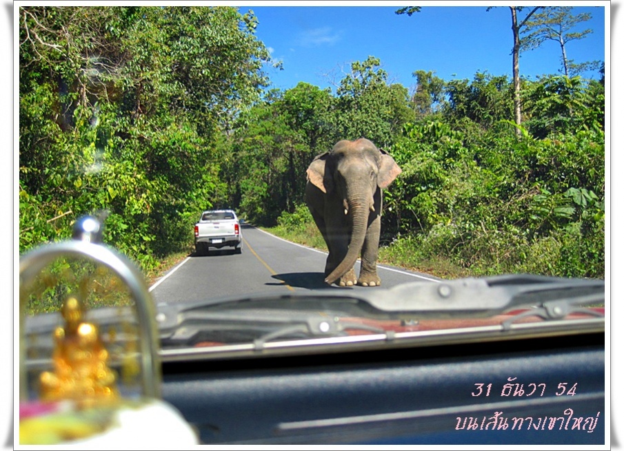 ชื่อ:  ช้าง.jpg
ครั้ง: 285
ขนาด:  300.5 กิโลไบต์