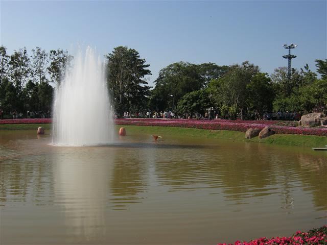 ชื่อ:  IMG_1182 (Small).JPG
ครั้ง: 637
ขนาด:  49.0 กิโลไบต์