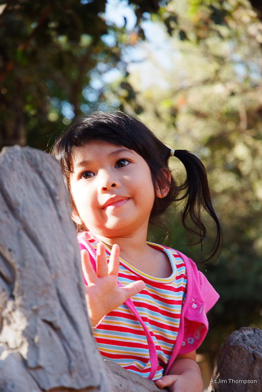 ชื่อ:  2012_0102JimThomson0229.jpg
ครั้ง: 276
ขนาด:  124.8 กิโลไบต์