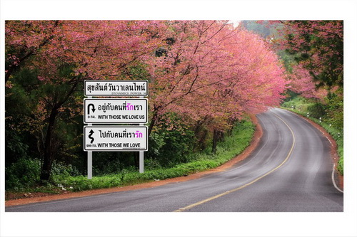 ชื่อ:  วาเลนไทน์ zz.jpg
ครั้ง: 255
ขนาด:  82.5 กิโลไบต์