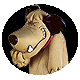 ชื่อ:  2659461.gif
ครั้ง: 1623
ขนาด:  9.3 กิโลไบต์