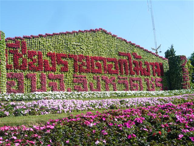 ชื่อ:  P1700327 (Small).JPG
ครั้ง: 972
ขนาด:  120.2 กิโลไบต์