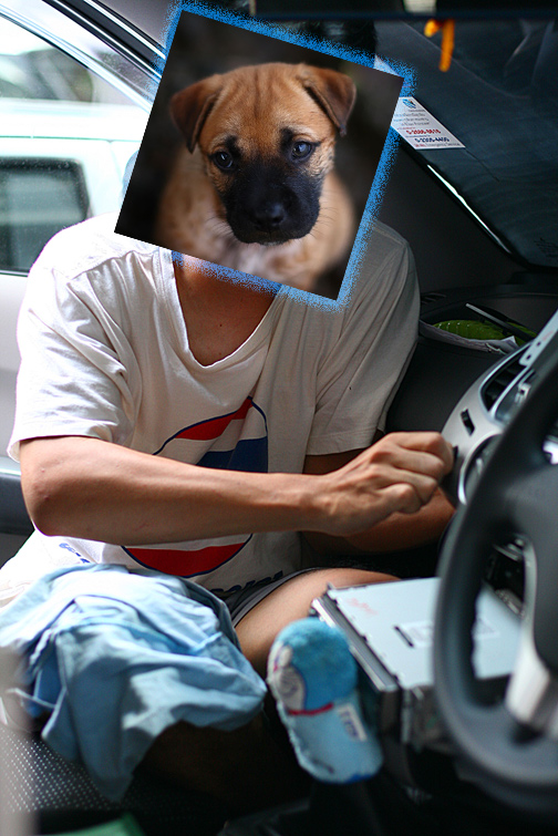 ชื่อ:  IMG_6765.jpg
ครั้ง: 7215
ขนาด:  199.6 กิโลไบต์