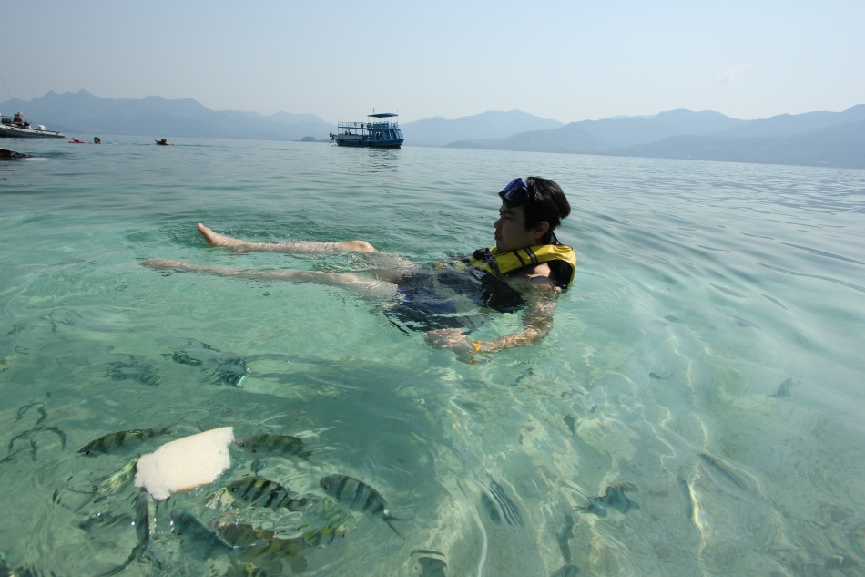 ชื่อ:  IMG_4127.jpg
ครั้ง: 264
ขนาด:  172.2 กิโลไบต์