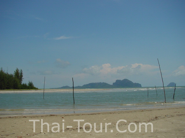 ชื่อ:  chalang-beach.jpg
ครั้ง: 534
ขนาด:  68.2 กิโลไบต์