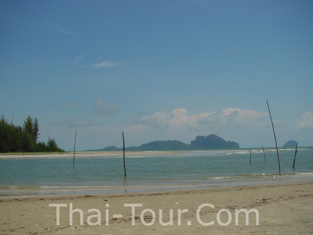 ชื่อ:  chalang-beach.jpg
ครั้ง: 949
ขนาด:  68.2 กิโลไบต์