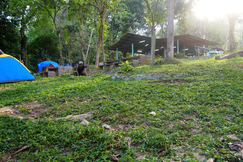 ชื่อ:  P3033268-1.jpg
ครั้ง: 160
ขนาด:  313.5 กิโลไบต์