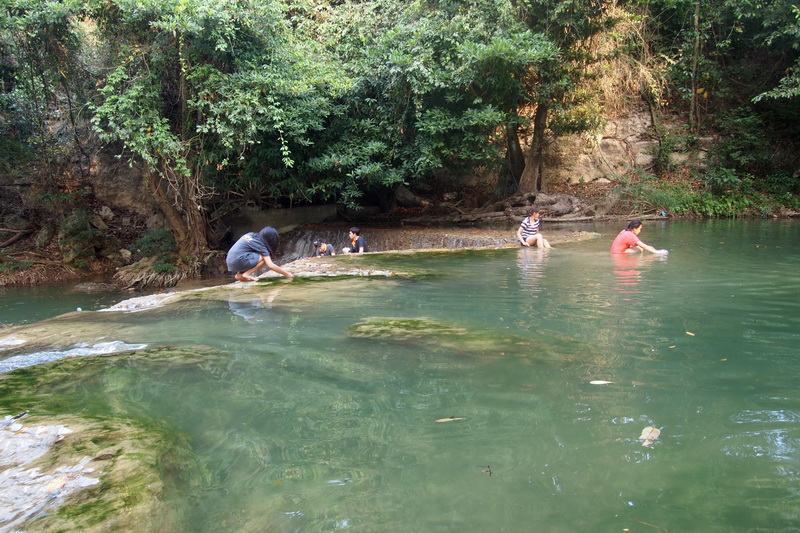ชื่อ:  P3033270-1.jpg
ครั้ง: 166
ขนาด:  239.6 กิโลไบต์