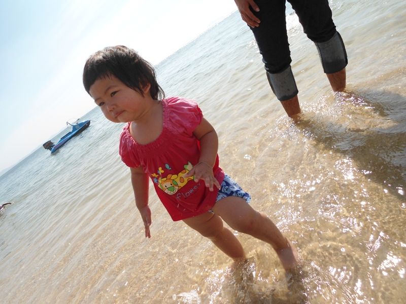 ชื่อ:  DSC00853.JPG
ครั้ง: 1282
ขนาด:  282.2 กิโลไบต์